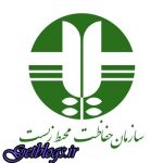 دو مجرم حیوان آزار به 500 ساعت خدمت رایگان محکوم شدند